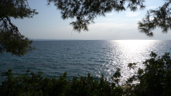 P1520139.jpg