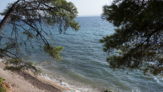 P1520141.jpg
