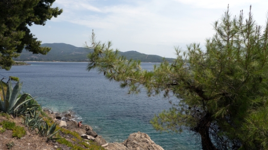 P1510566.jpg