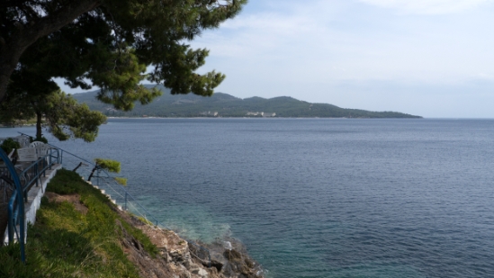 P1510569.jpg