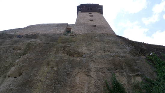 P1510918.jpg