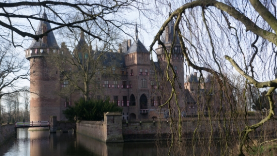 P1530011.jpg