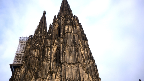 P1520810.jpg
