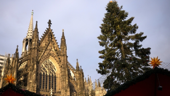 P1520824.jpg
