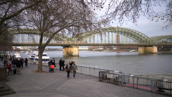 P1520835.jpg