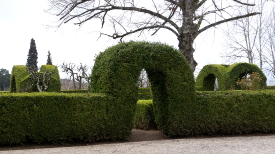 P1540016.jpg