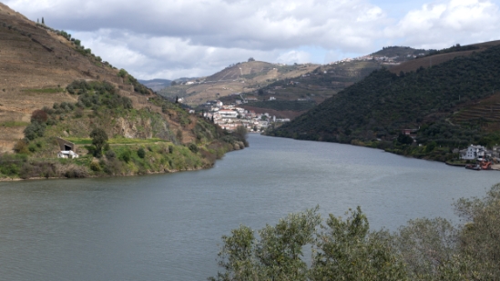 P1540076.jpg