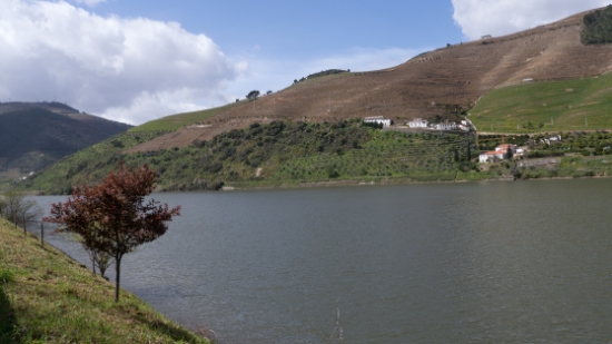 P1540091.jpg