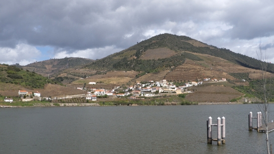 P1540093.jpg