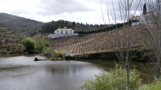 P1540095.jpg