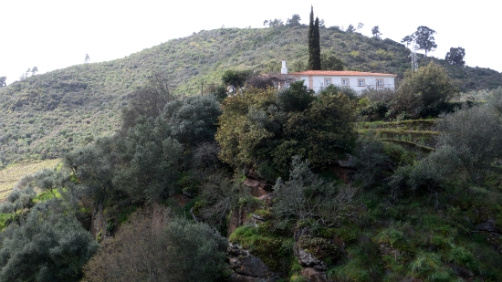 P1540103.jpg