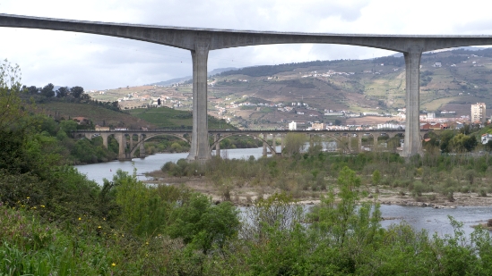 P1540106.jpg