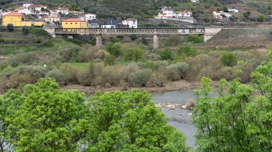 P1540107.jpg