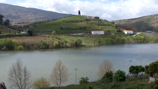 P1540109.jpg