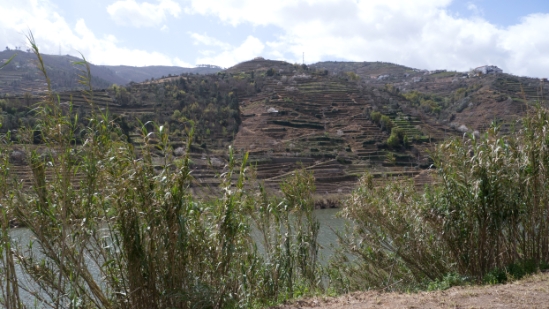 P1540114.jpg
