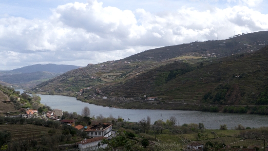P1540120.jpg