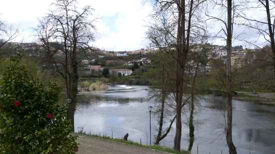 P1540126.jpg