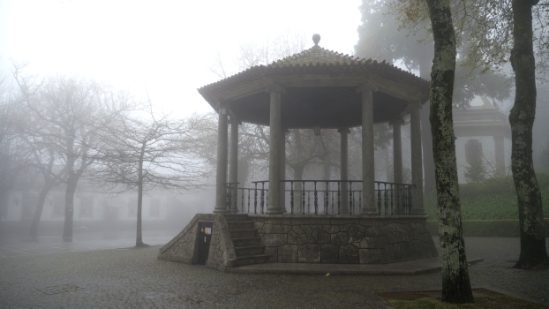 P1540516.jpg