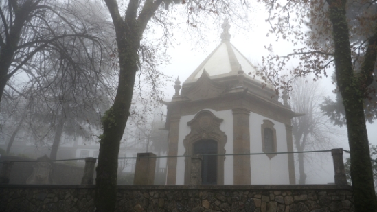 P1540519.jpg
