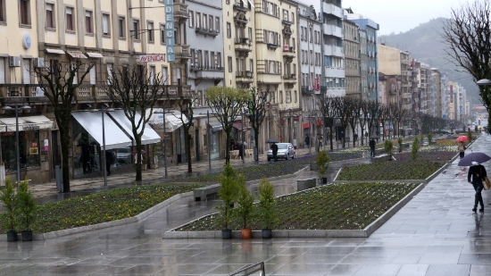 P1540537.jpg