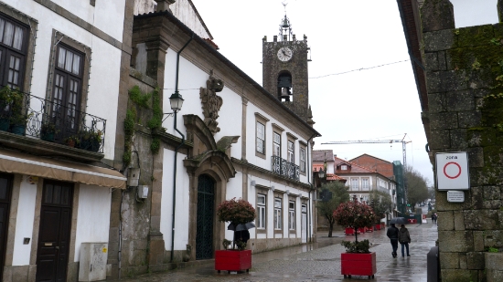 P1540688.jpg