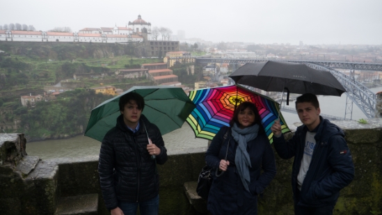 P1540749.jpg