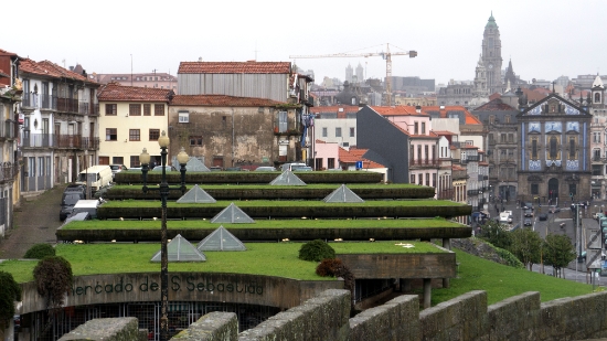 P1540765.jpg