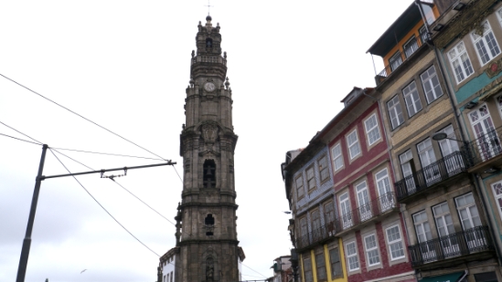 P1540882.jpg
