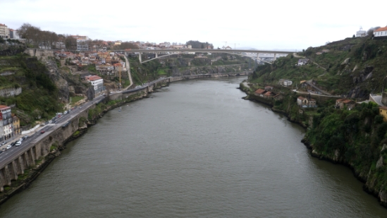 P1540928.jpg
