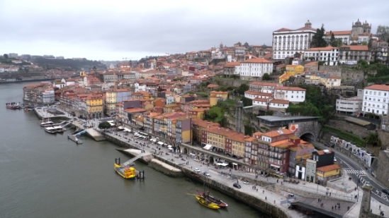 P1540932.jpg