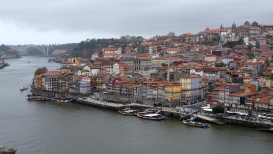 P1540942.jpg