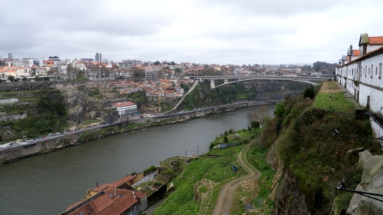 P1550005.jpg