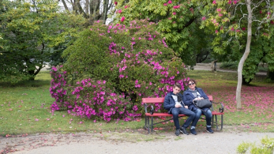 P1550083.jpg