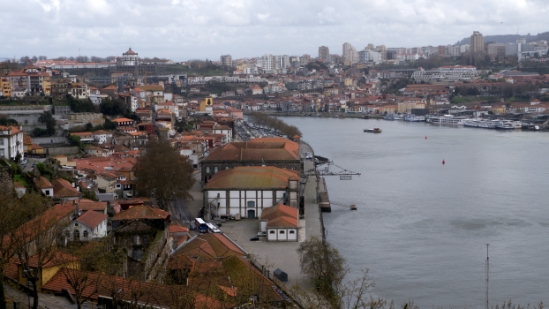 P1550107.jpg