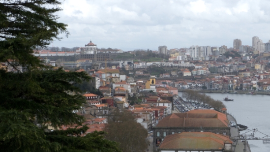 P1550119.jpg