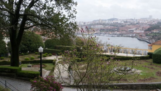 P1550125.jpg