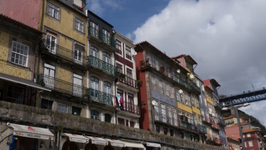 P1550157.jpg