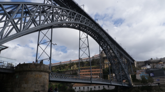 P1550166.jpg