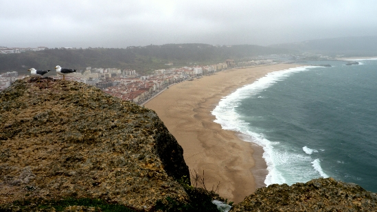 P1550634.jpg