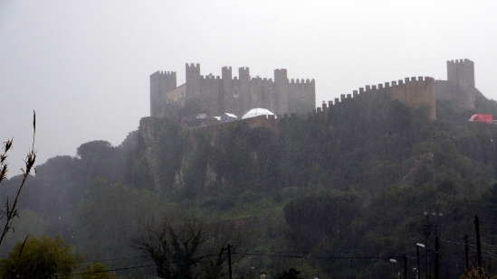 P1550644.jpg