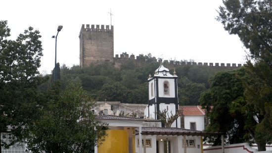 P1550653.jpg
