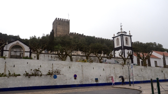 P1550654.jpg
