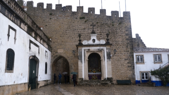 P1550655.jpg