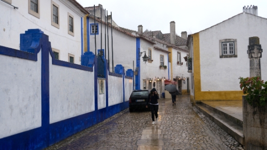P1550658.jpg