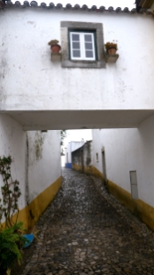 P1550665.jpg