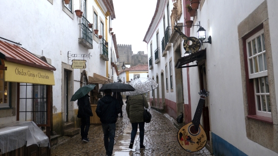 P1550669.jpg