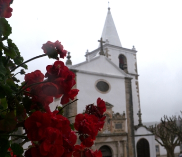 P1550678.jpg