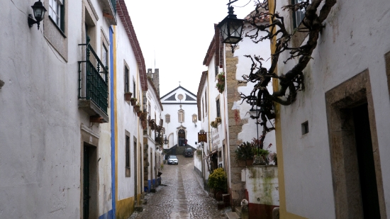 P1550684.jpg