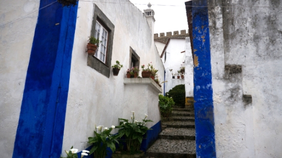 P1550687.jpg