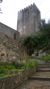 P1550694.jpg
